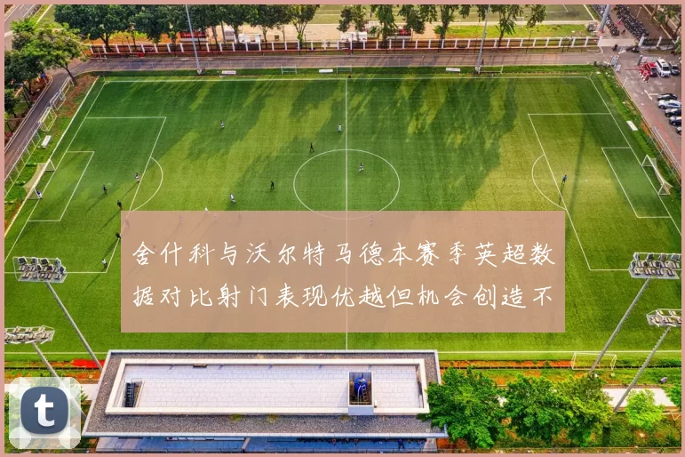 舍什科与沃尔特马德本赛季英超数据对比射门表现优越但机会创造不足